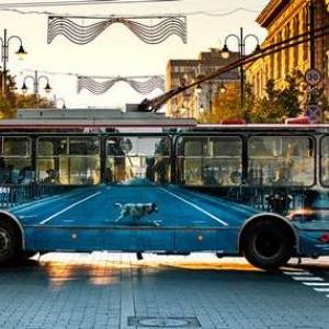 已经消失的无轨电车 车体广告变成充满趣味的错觉艺术