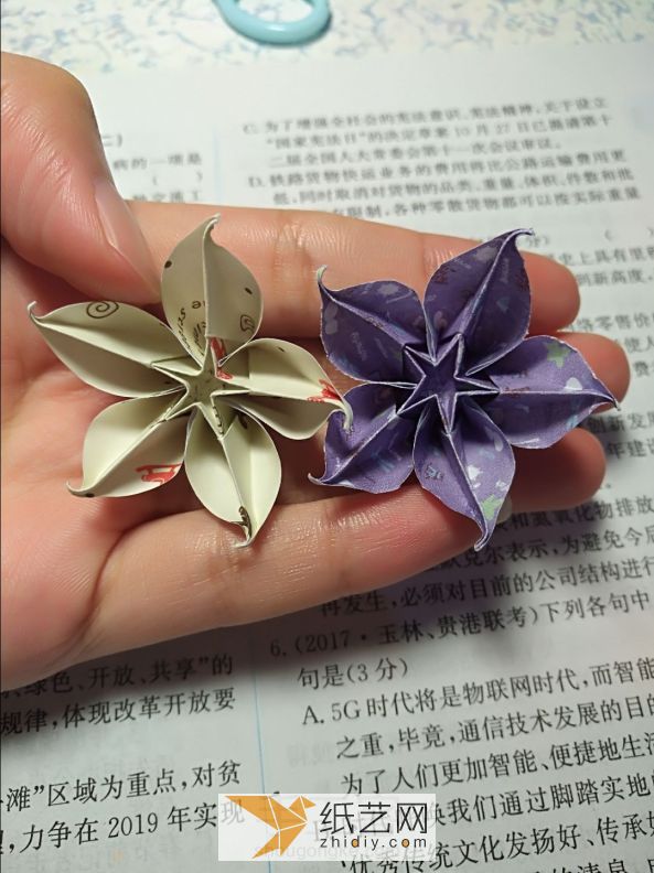 新年折纸漂亮折纸杨桃花的制作教程