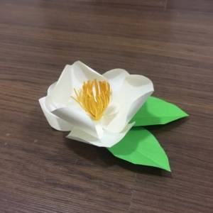 简单易上手的山茶花纸艺花制作教程 可以装饰教师节礼物包装盒
