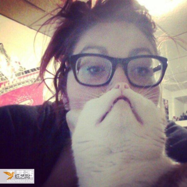 非常搞笑的自拍照片 利用宠物猫拍摄可爱的大胡子
