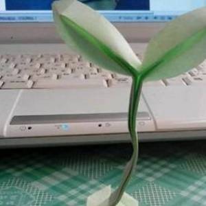 使用折纸折叠立体树苗的方法图解