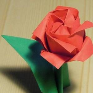 川崎玫瑰改良折叠方法图解教程