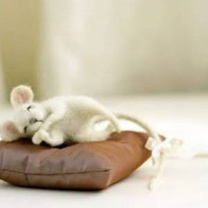 一件温暖人心的手工作品—可爱系羊毛毡小动物的作品图片