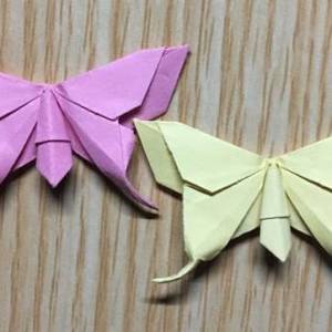 手工折叠纸蝴蝶的步骤图解
