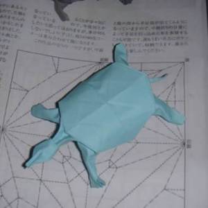 怎么手工折叠纸软壳龟的图解