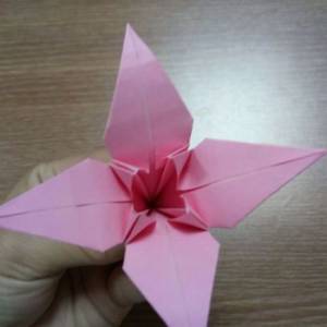 简单的基础折纸百合花制作方法 手工折纸教程教你学折纸百合