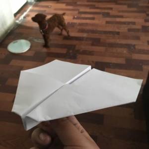 折纸飞机中折纸滑翔机的制作方法
