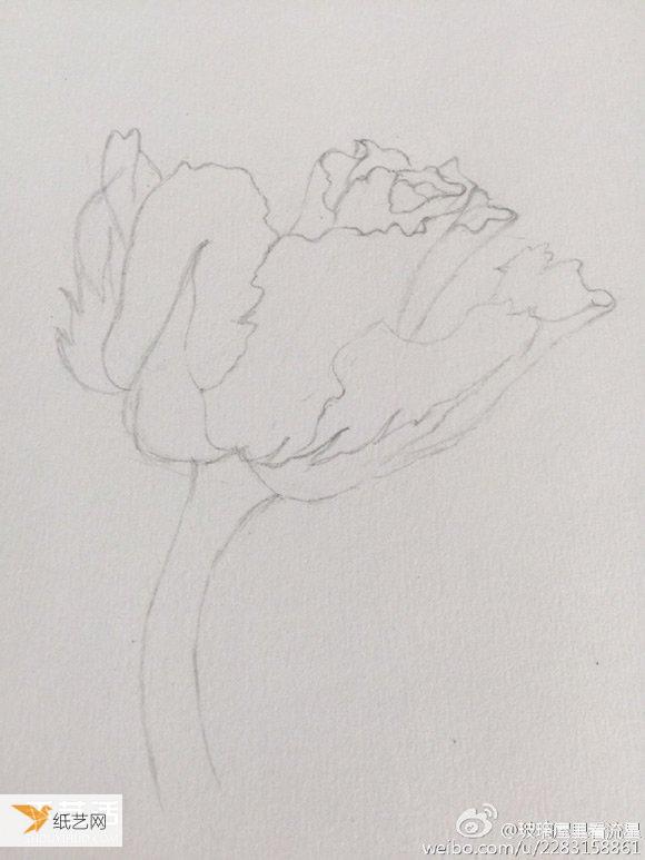 使用彩铅绘制花卉的画法步骤方法教程