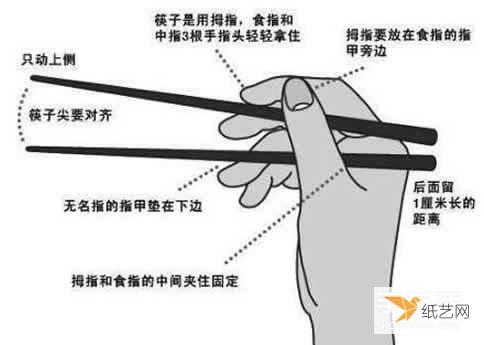 分享拿筷子的正确方法姿势图解教程