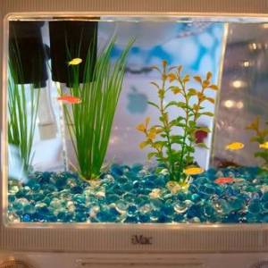 使用iMac电脑改造水族箱的创意 环保又超级好看！