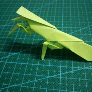 折纸螳螂的手工图解教程 折纸昆虫大全