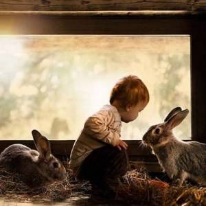 一个特别可爱的小男孩跟动物们的温馨摄影作品欣赏