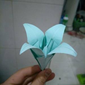 新的折纸百合花教程 手把手教你学折纸花怎么叠