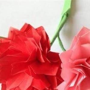 在母亲节使用彩纸折叠彩色康乃馨