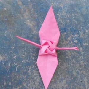 和大家人分享怎么折叠玫瑰千纸鹤的步骤图解