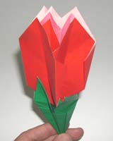 简易折纸玫瑰的制作 纸艺花基础