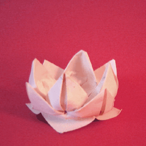 折纸荷花的制作 纸花教程
