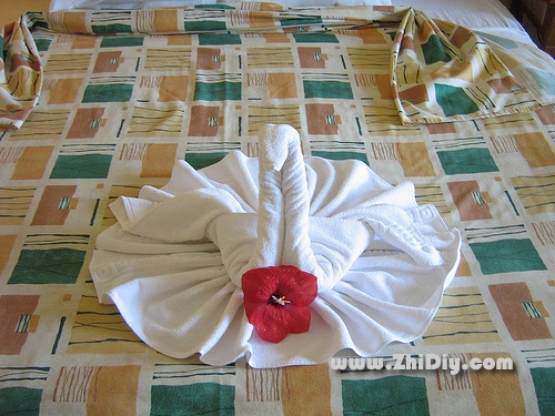 毛巾折纸天鹅的制作