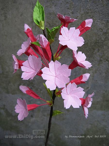 清水五月的折纸樱花