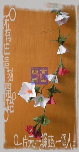 青田兰雨蛙的折纸花欣赏