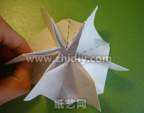 折纸蝴蝶兰纸艺花制作教程制作过程中的第十一步