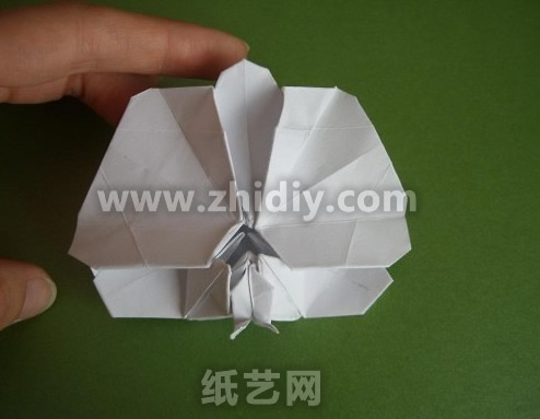 现在已经有了折纸蝴蝶兰的初步的结构了