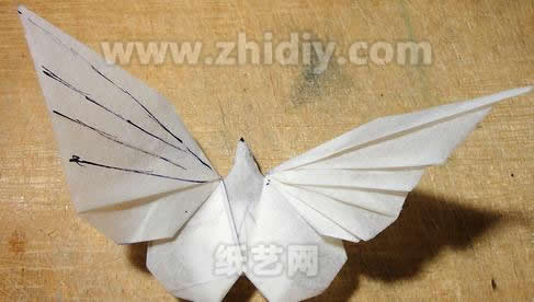 折纸蝴蝶的翅膀折痕已经基本出现