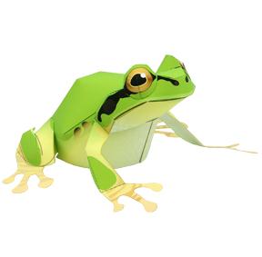树蛙3D纸模型图纸免费下载