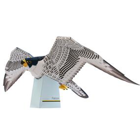 猎鹰3D纸模型图纸免费下载