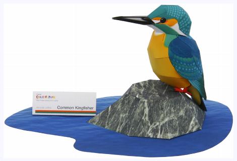 简单翠鸟3D纸模型免费下载