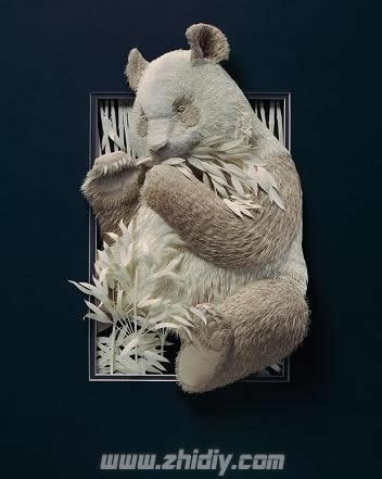 Calvin Nicholls的野生动物纸雕塑