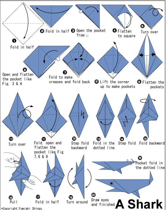 折纸王子折锤头鲨图片