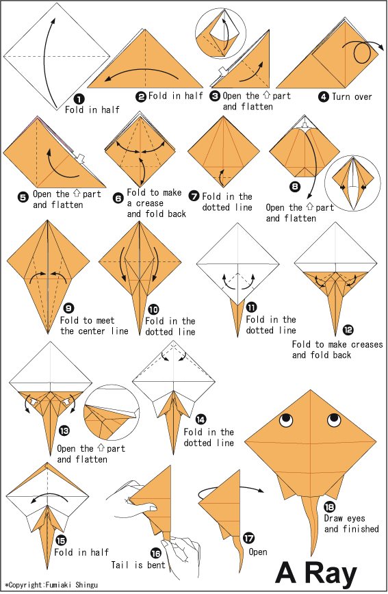 鳐鱼儿童简单手工折纸教程