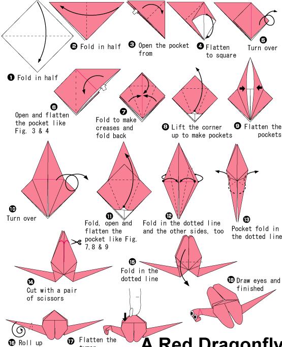 儿童简单手工折纸蜻蜓教程图解