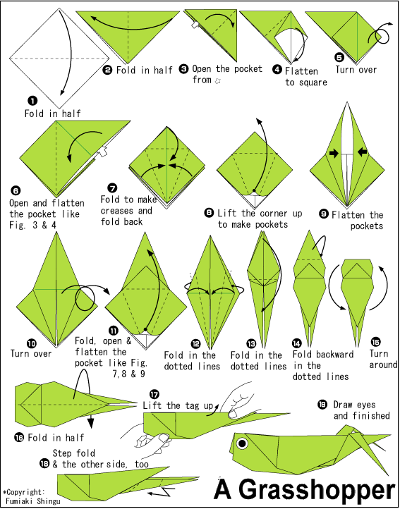 手工折纸蚂蚱儿童折纸教程