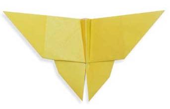 儿童简单折纸蝴蝶手工折纸教程