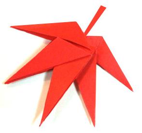 儿童折纸枫叶简单折纸教程