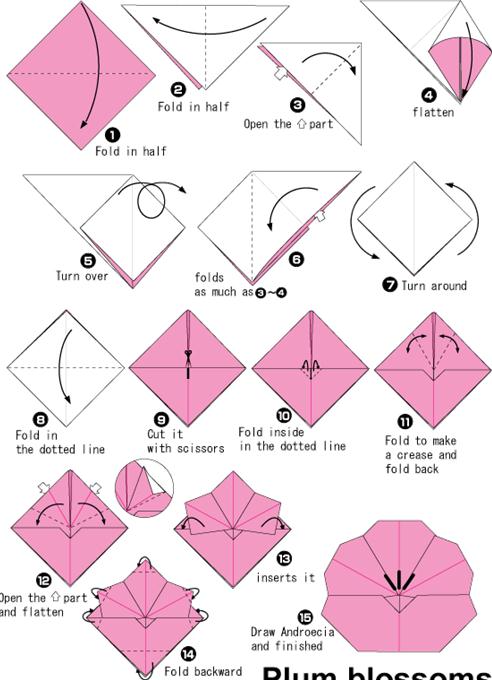 李树儿童折纸简单手工折纸教程