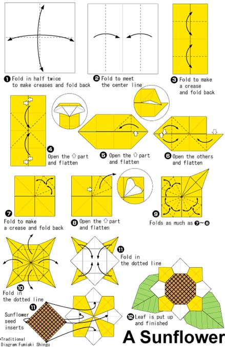 儿童折纸太阳花简单手工折纸教程