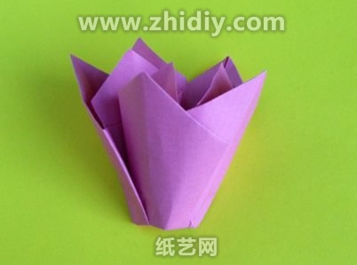 折纸郁金香的基本样式已经完成制作