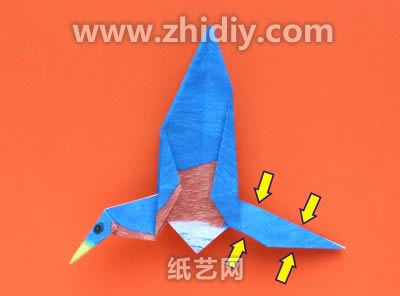 折纸蓝鸟的尾部扁平和折纸蓝鸟的头部竖起来使得其立体感十足