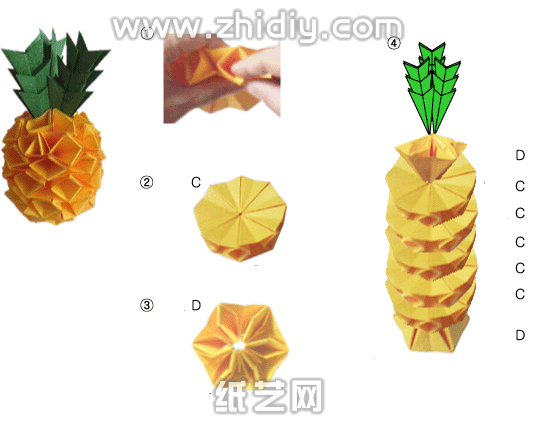 手工折纸菠萝制作图解教程制作过程中的第三部分
