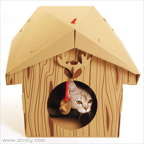 纸板做的猫的小屋