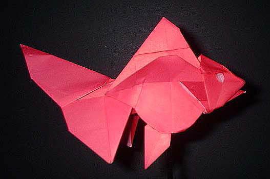 观赏金鱼手工折纸图谱教程—Ronald Koh