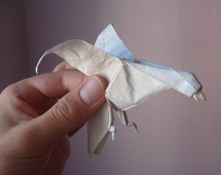 简单老鹰手工折纸图谱教程—Joseph Wu