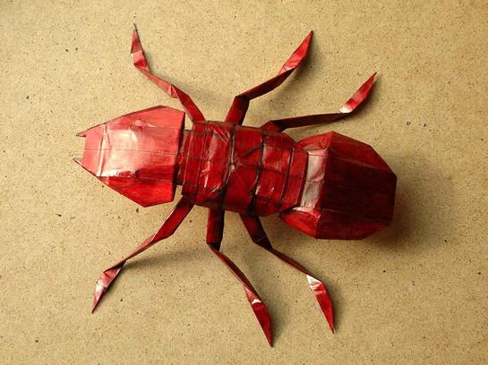 折纸蚂蚁折纸图谱教程—Piotr Pluta