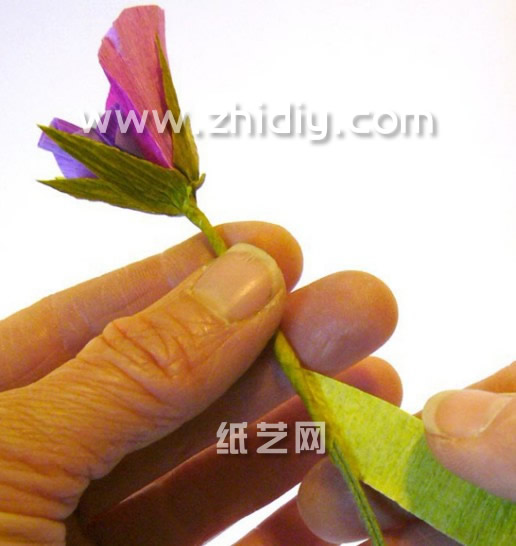 香豌豆花束手工纸艺花实拍教程制作过程中的第十一步