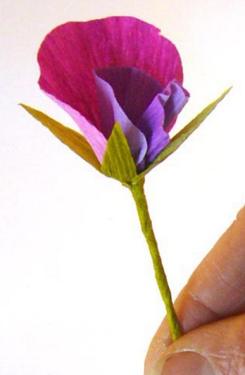 现在基本的纸艺香豌豆花已经展现出了其独特的美感