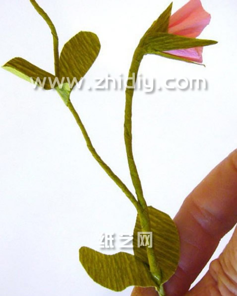 可以看到漂亮的纸艺香豌豆花在尽情的展示着自己的美