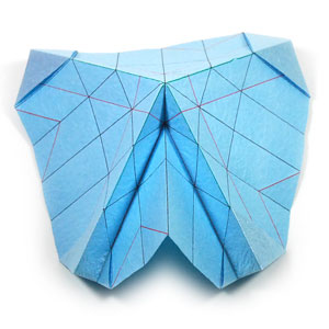 这样的角度看起来就像是折纸蝴蝶